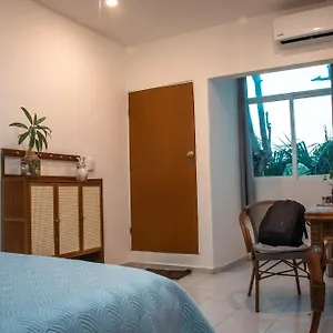 Auberge de jeunesse Cuca Macuca Puerto Morelos